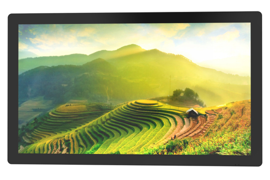 27 inch Transflective LCD Display